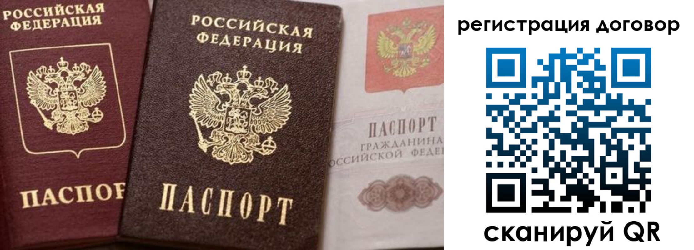прописка 2025 в Рошале